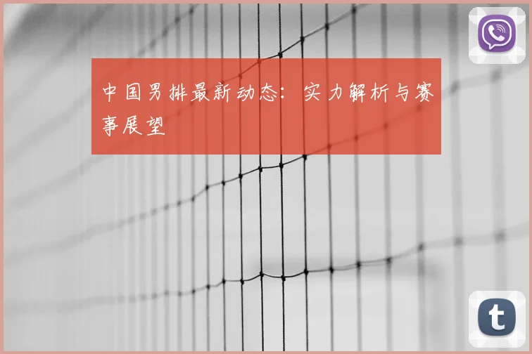 中国男排最新动态：实力解析与赛事展望
