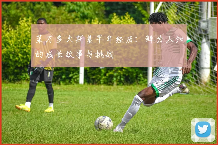 莱万多夫斯基早年经历：鲜为人知的成长故事与挑战