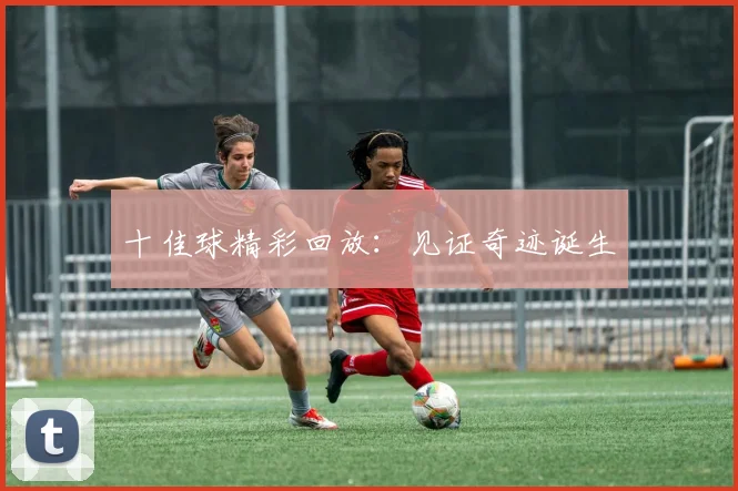 十佳球精彩回放:见证奇迹诞生