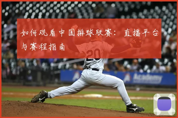 如何观看中国排球联赛：直播平台与赛程指南